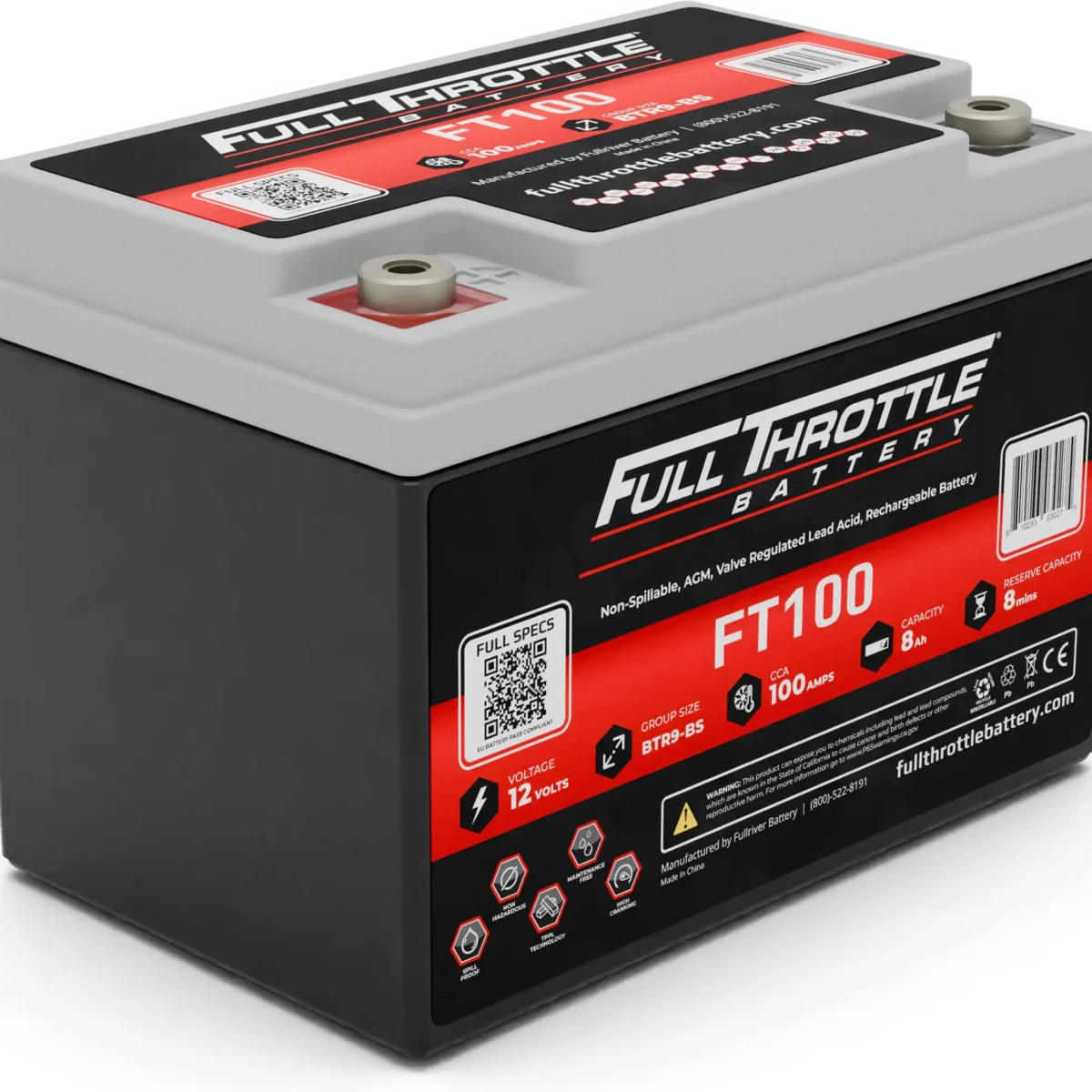 FT100 – Batería 12 V 8Ah